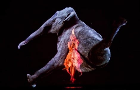 The Symptoms, Budimpešta, Mađarska: The Miracles of the Night (Čuda noći), red. i kor. Réka Szabó