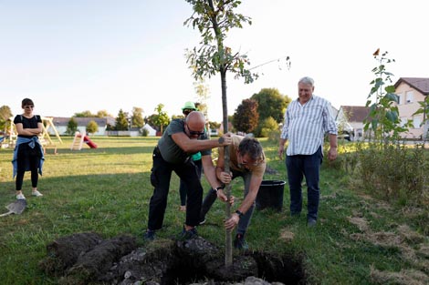 Festivalski projekt, Branko Franceschi i Ivan Mesek: Drvored performera, foto: Arhiv Festivala