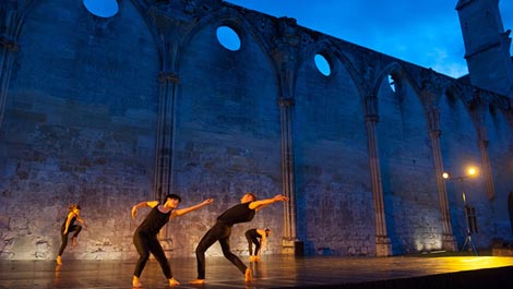 Hydre, kor. Yuval Pick