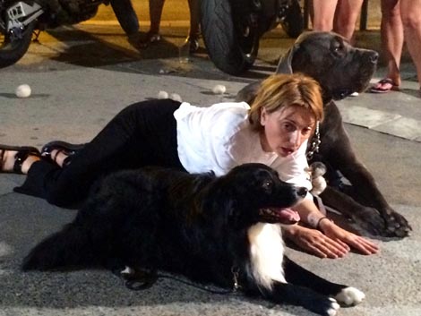 Ivana Filip, Pseća mudrost, 2019.