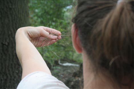 Ja gledam tebe dok ti gledaš mene, dok publika gleda tebe koja gledaš nju dok pokušavamo razjasniti taj odnos i kako je on u vezi sa sjemenkom u kojoj se zrcali svemir, autorice Nives Sertić i Sonja Pregrad