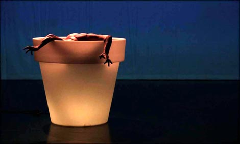 Flota, zavod Murska Sobota i Flota Ljubljana: Red-Trail, koreografija i izvedba Matjaž Farič, foto: Sunčan Stone, Iztok Kurnik