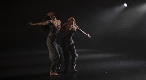 Plešimedo, Zagreb: Meduza, koreografija Zrinka Lukčec Kiko, ZPC, Zagreb