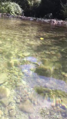 list na vodi, autor Mladen Vasary