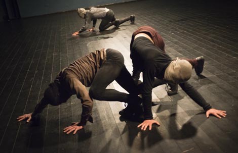 CacoonDance Company: Momentum, kor. i red. Rafaele Giovanola