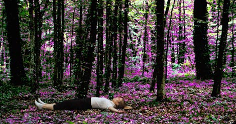 Novi horizonti</em>, autorica Martina Nevistić Vukobrat