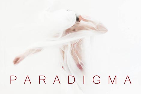 Paradigma, autor Željko Drmić