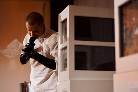 Apis ensemble: Queen Bee, koncept Ena Jagec, foto: Fire Through the Lens Photography