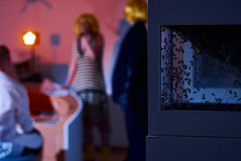 Apis ensemble: Queen Bee, koncept Ena Jagec, foto: Fire Through the Lens Photography