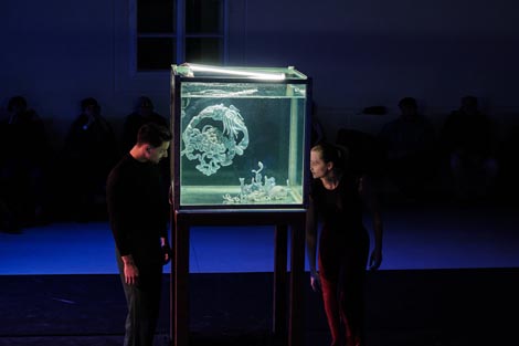 Liberdance, Zagreb:  Rituali s delfinima, autor Rajko Pavlić, foto: Vanja Babić