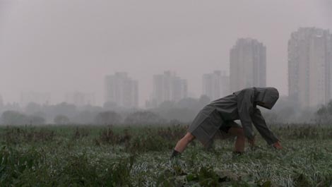 Sivo, autorica Irma Omerzo