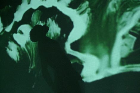 Trag / Trace / Spur, kor. Michaela Müller, Zrinka Šimičić Mihanović i Fa Ventilato