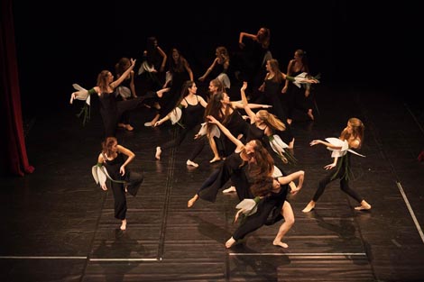 Večer plesne minijature