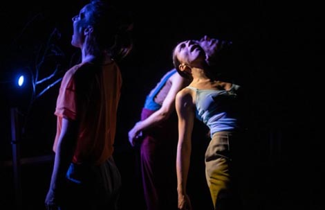 Cacao Bleu, Liege, Belgija, Vox, kor. David Hernandez, foto: zagrebackiplesnicentar.hr