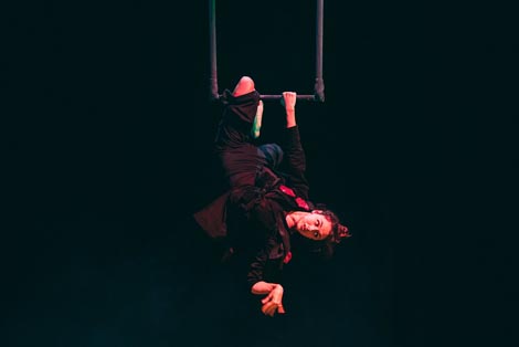 T.O.A., Bučni Stripovi: Vrana bez gnijezda, autori Petra Najman, Ivan Svaguša Svaig