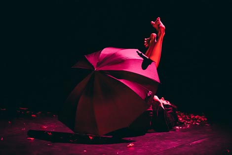 T.O.A., Bučni Stripovi: Vrana bez gnijezda, autori Petra Najman, Ivan Svaguša Svaig