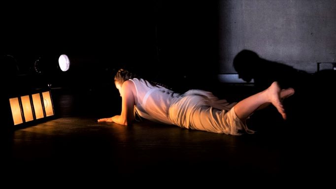 <em>Ovdje nema bijelog zeca</em>