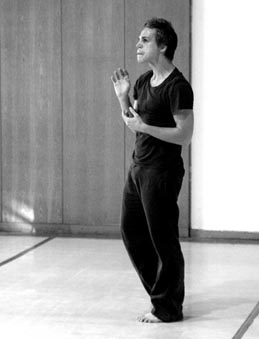 Zaziv, autor Bruno Isaković